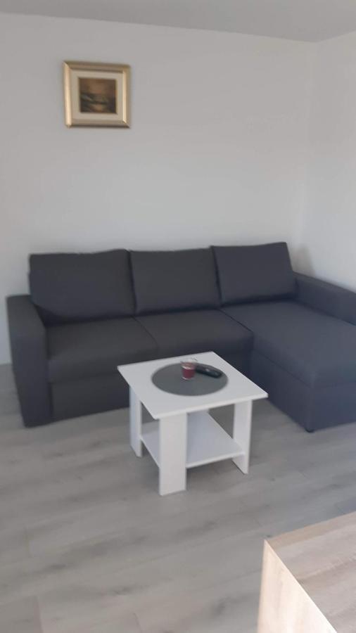 Apartman Abramovic Topusko Bagian luar foto