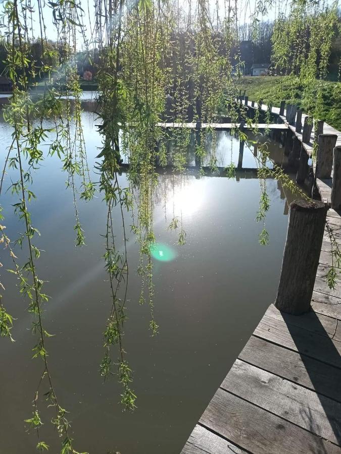Apartman Abramovic Topusko Bagian luar foto
