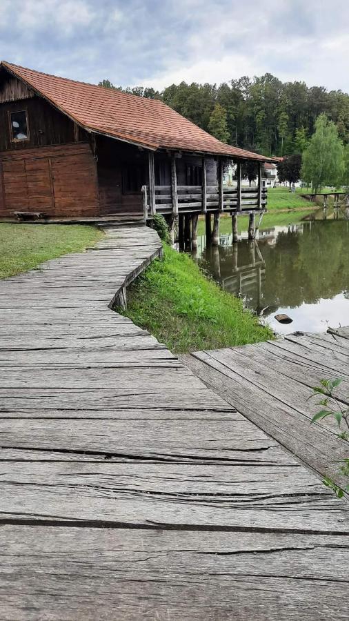Apartman Abramovic Topusko Bagian luar foto